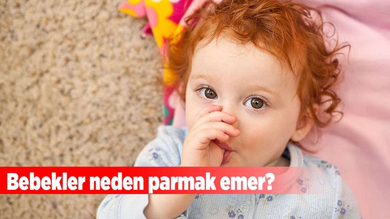 Bebekler neden parmak emer?