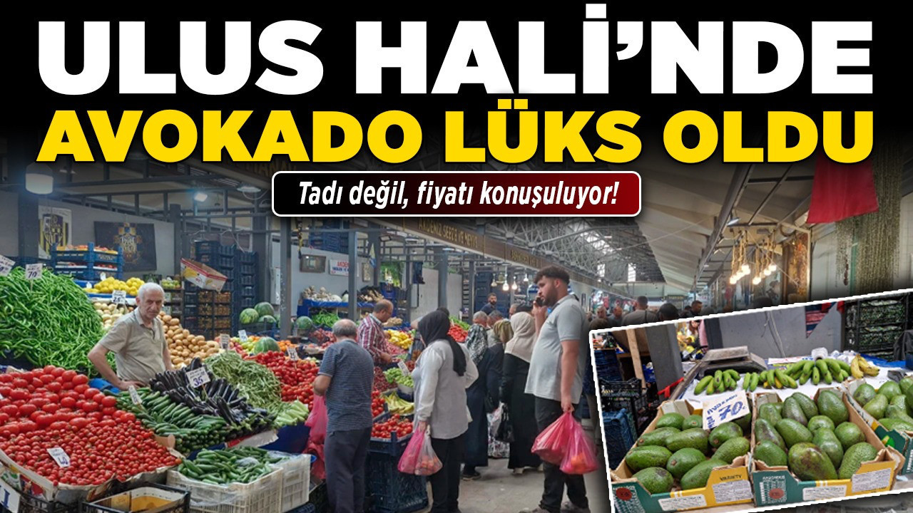 Tadı değil, fiyatı konuşuluyor! Ulus Hali’nde avokado lüks oldu