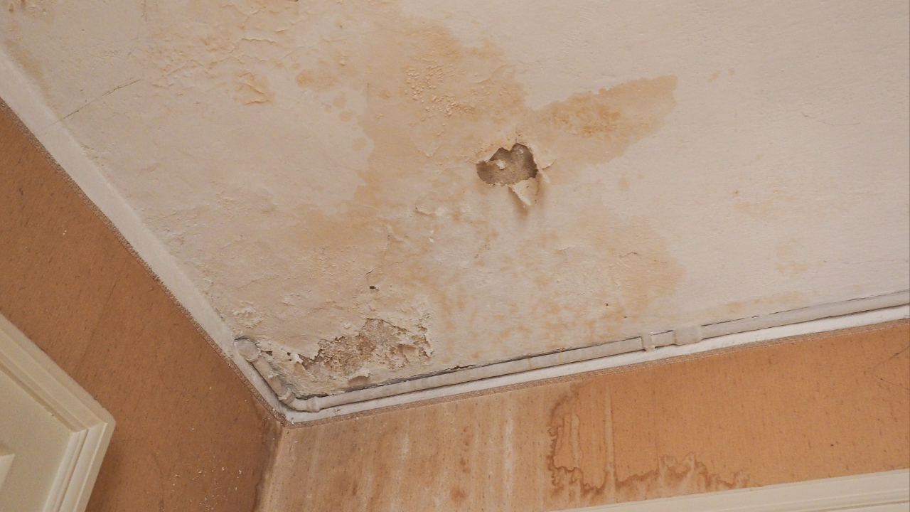 Duvar terlemesi neden olur?