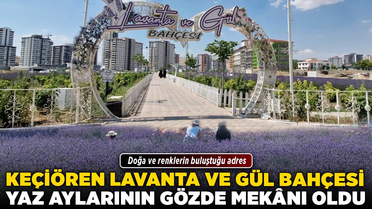 Keçiören Lavanta ve Gül Bahçesi yaz aylarının gözde mekânı oldu