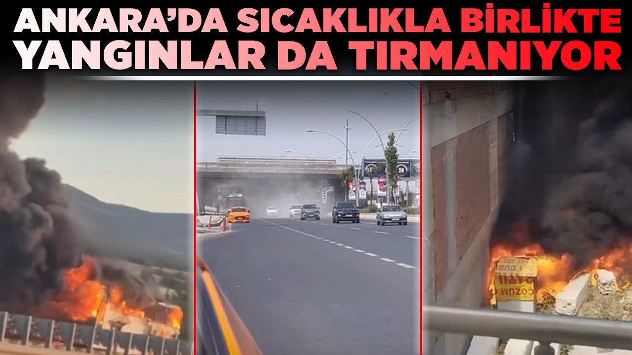 Ankara'da sıcaklıkla birlikte yangınlar da tırmanıyor