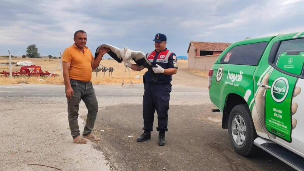 Sorgun’da bulunan yaralı leyleğin yardımına HAYDİ ekipleri yetişti