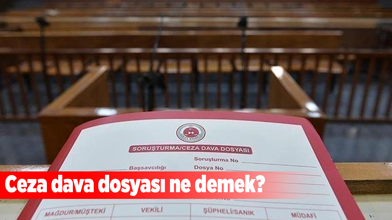 Ceza dava dosyası ne demek?