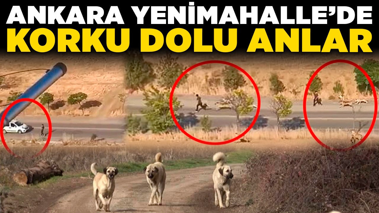 Ankara Yenimahalle'de korku dolu anlar! Saldırıdan son anda kurtuldu