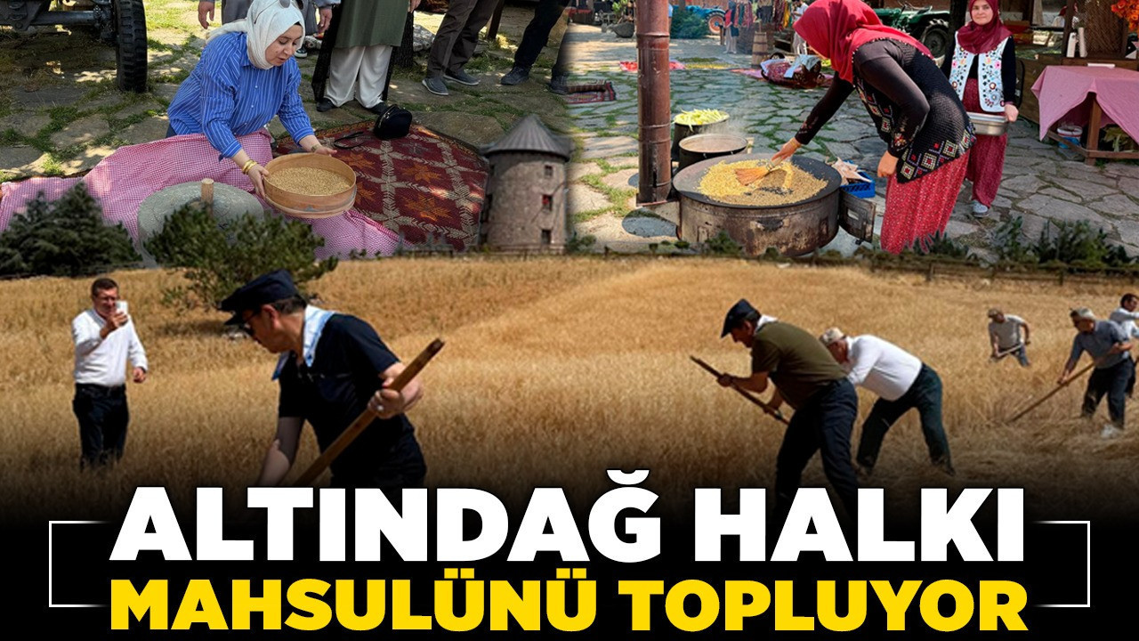 Altınköy’de hasat zamanı! Altındağ halkı mahsulünü topluyor!