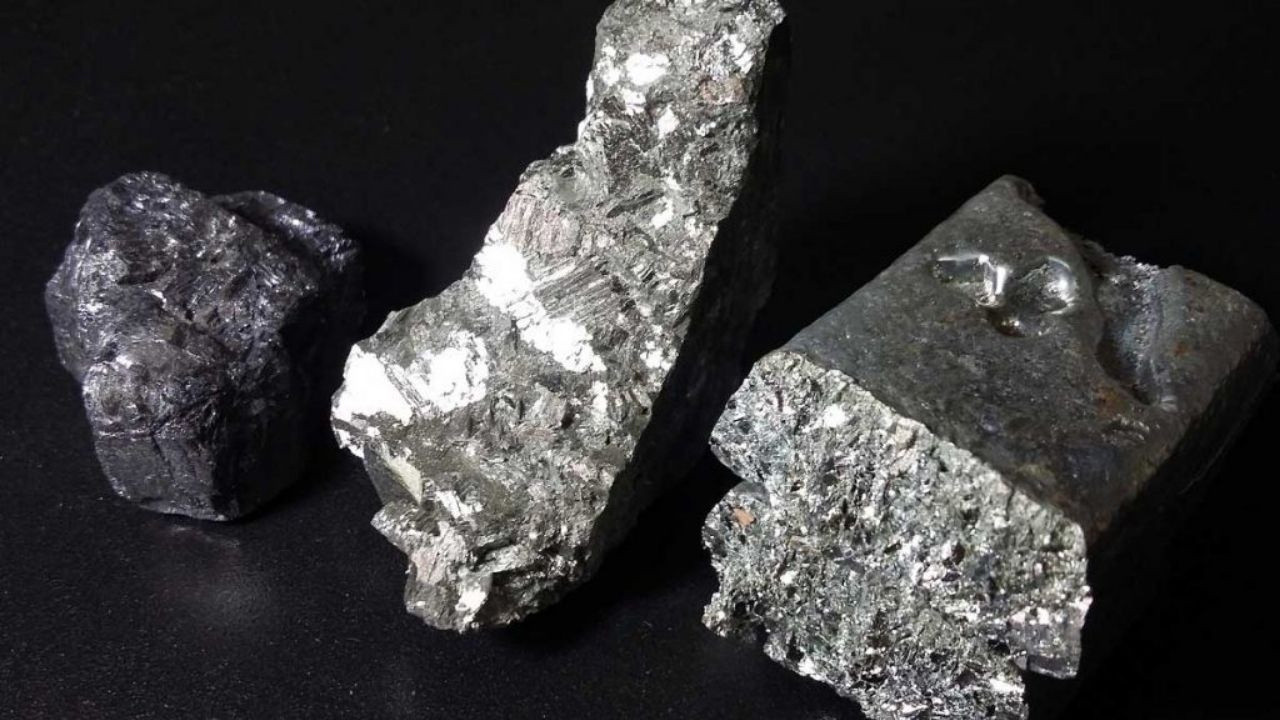 Çinko bitkide ne işe yarar?