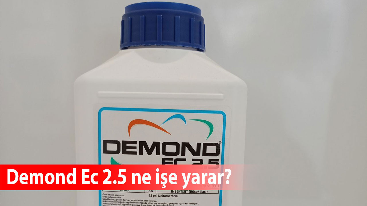 Demond Ec 2.5 ne işe yarar?