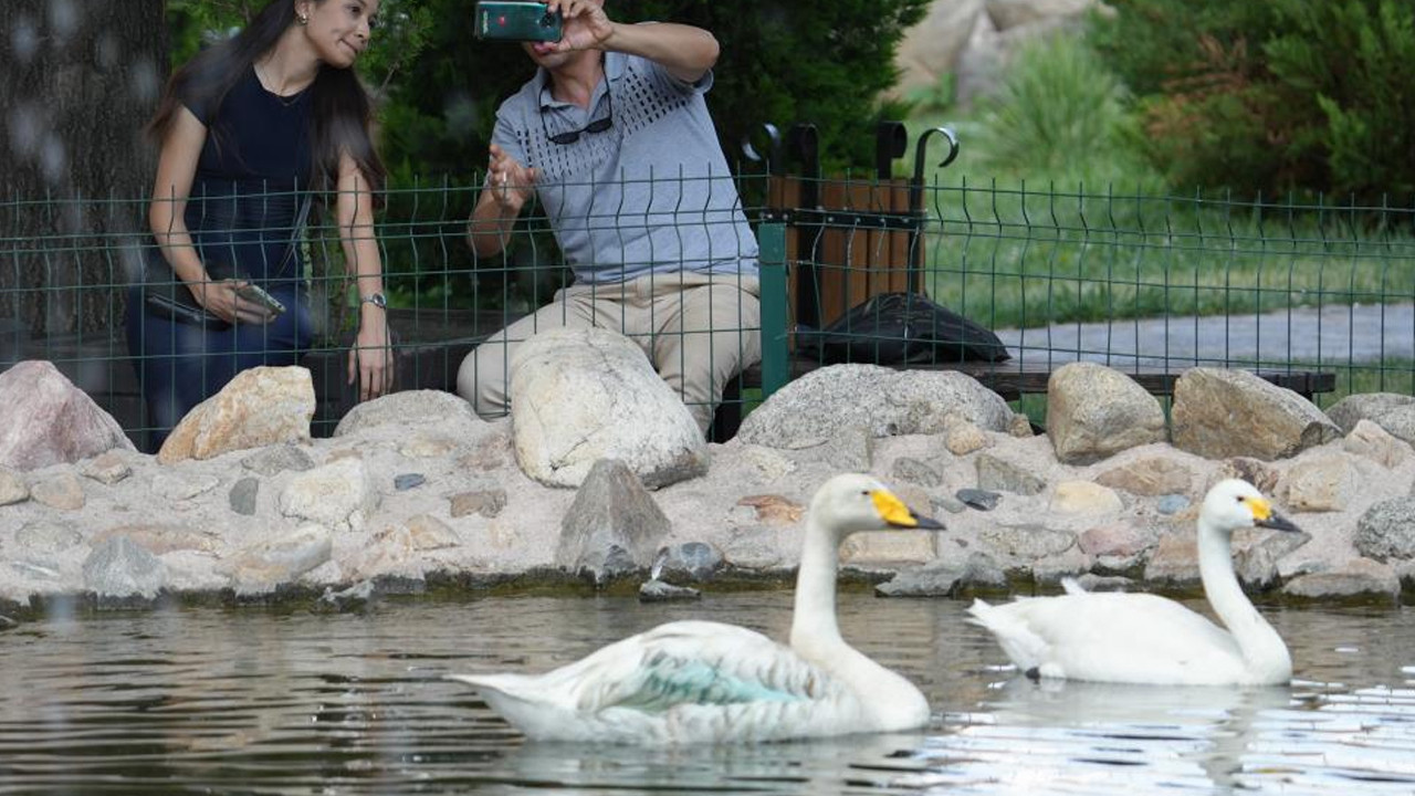 Kırıkkale Şehitler Parkı’nın gözde sembolü: Zarif ve Zarife