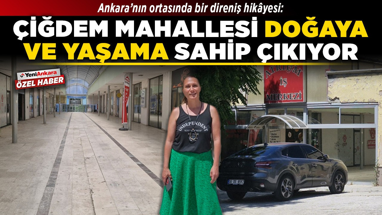 Ankara’nın ortasında bir direniş hikâyesi: Çiğdem Mahallesi doğaya ve yaşama sahip çıkıyor