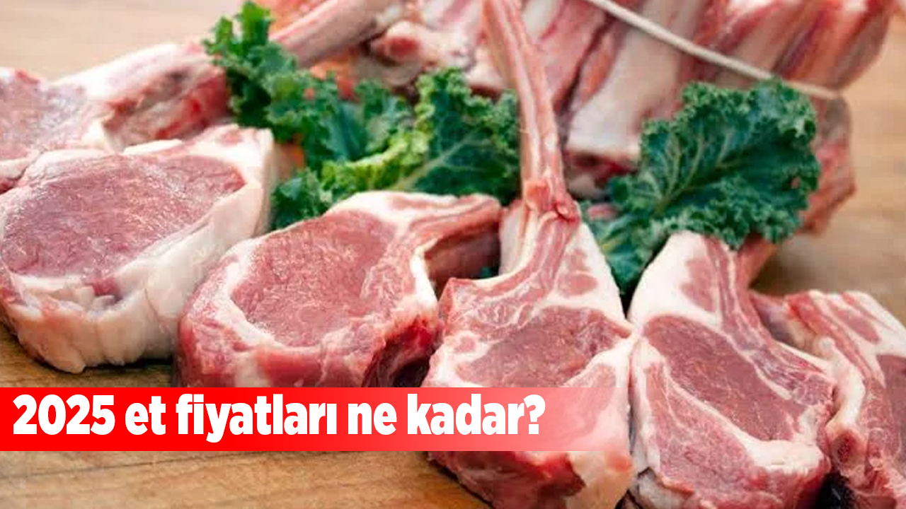 2025 et fiyatları ne kadar?