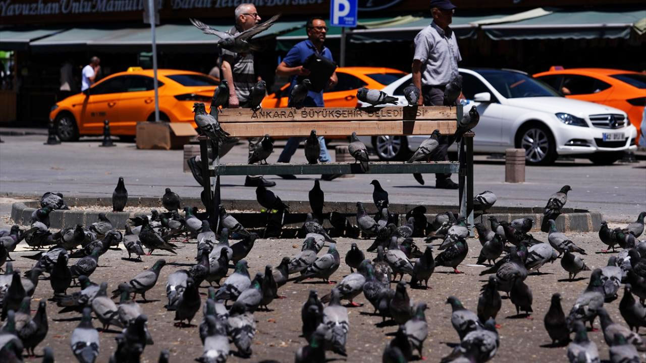Ankara kavruluyor: 23 Temmuz’da ilçelerde 40 dereceyi aşan sıcaklıklar görülecek
