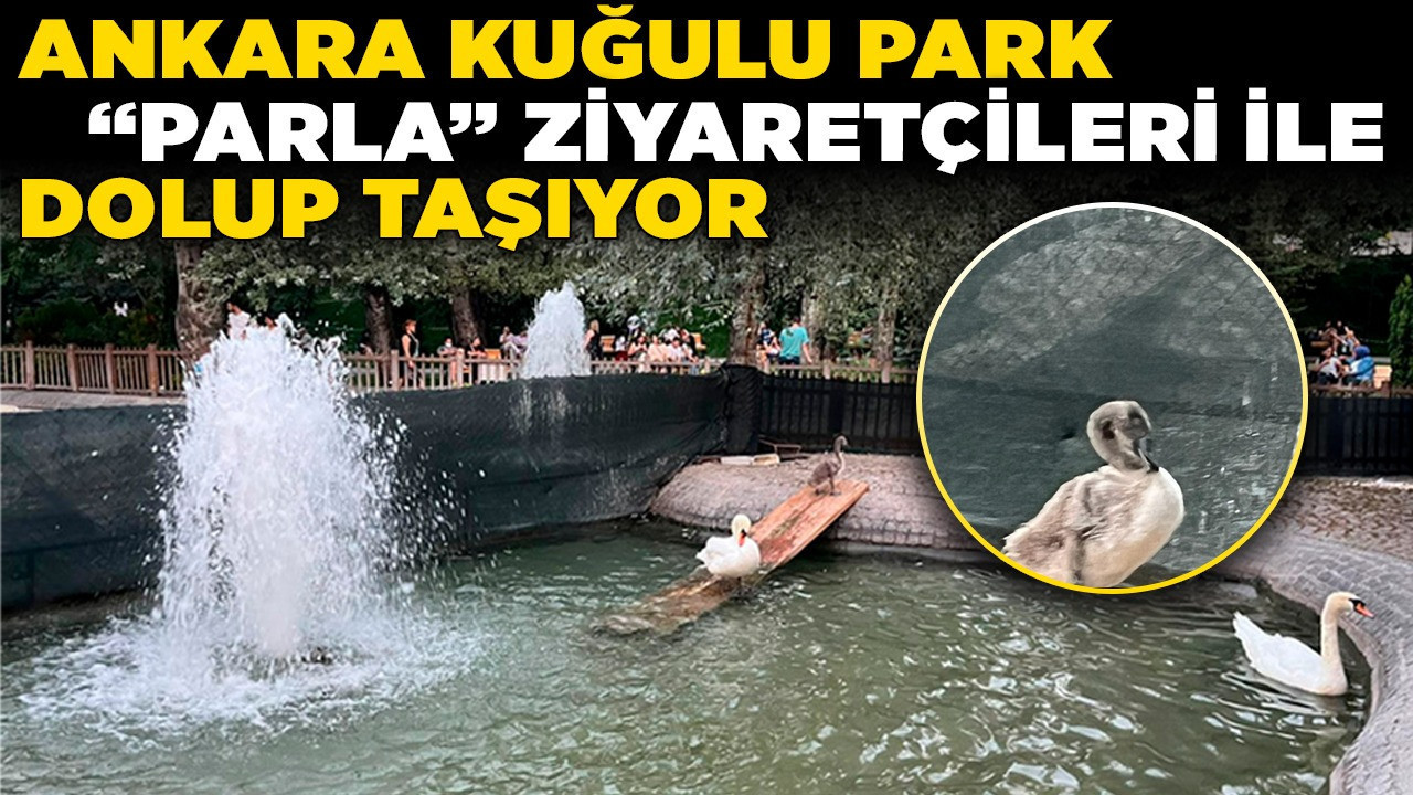 Ankara Kuğulu Park “Parla” ziyaretçileri ile dolup taşıyor! Bir aylık değişim şaşırttı