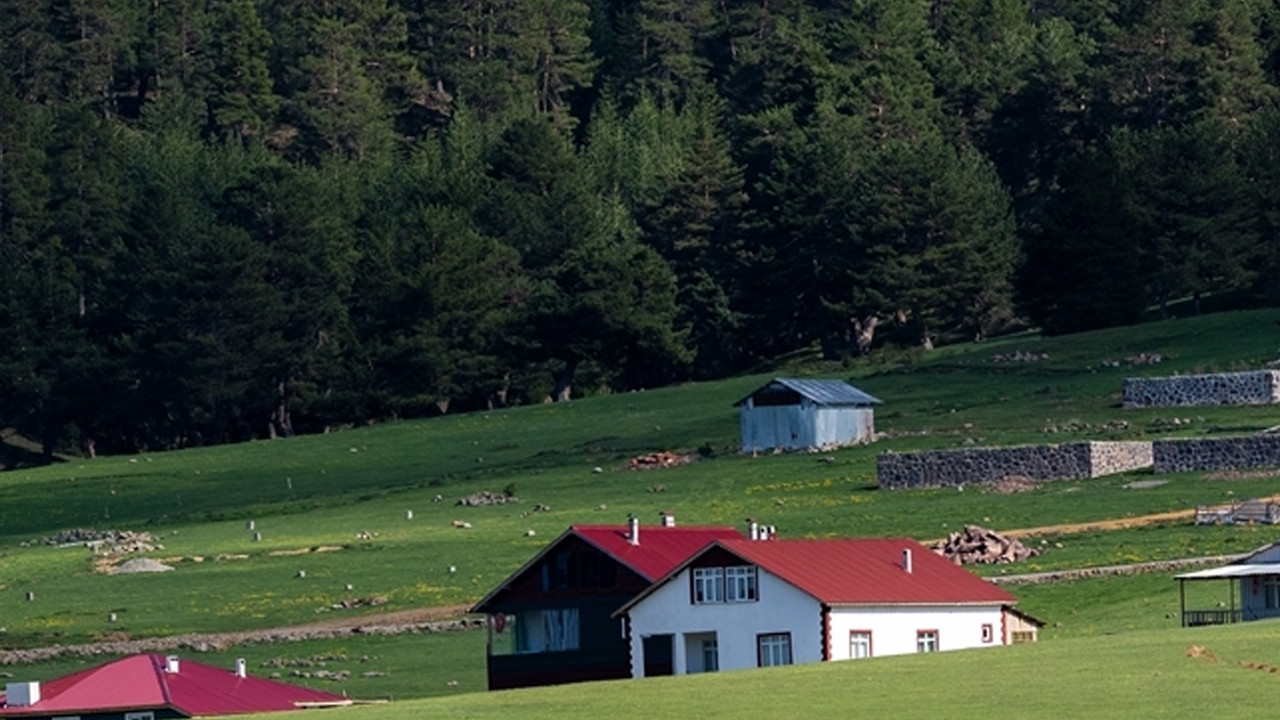 Çamlıdere'de ormanlara giriş yasaklandı