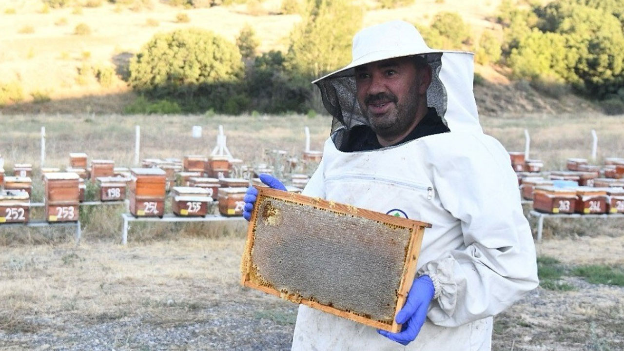Pursaklar Belediyesinden bal hasadı! Doğal üretim yetim ve muhtaçlara ulaşacak