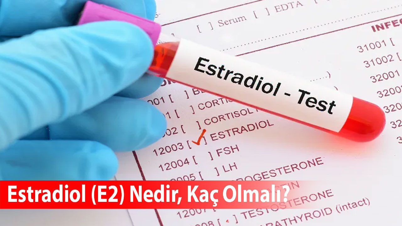 Estradiol (E2) Nedir, Kaç Olmalı?