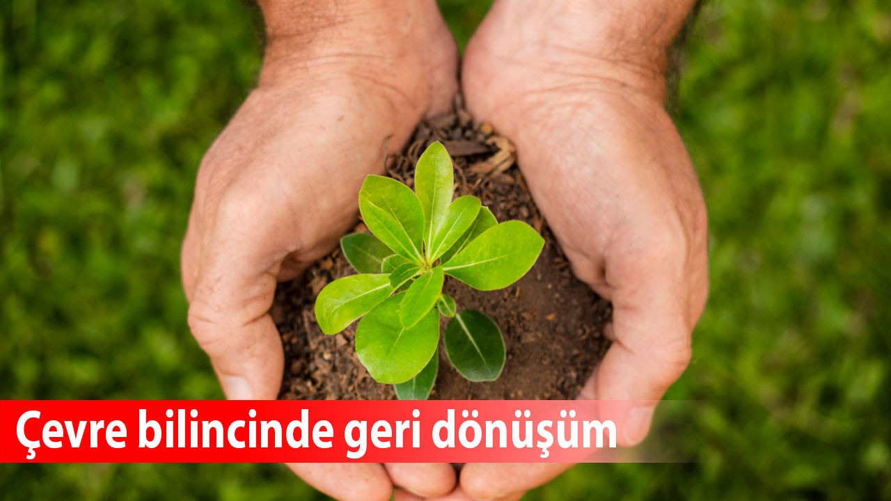 Çevre bilincinde geri dönüşüm: Süreçler, faydalar ve bireysel katkı