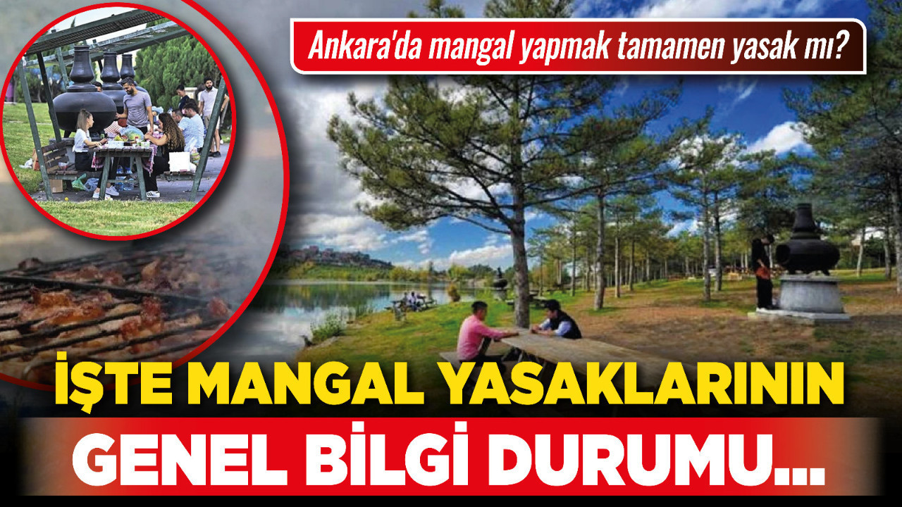 Ankara'da mangal yapmak tamamen yasak mı? İşte mangal yasaklarının genel bilgi durumu...
