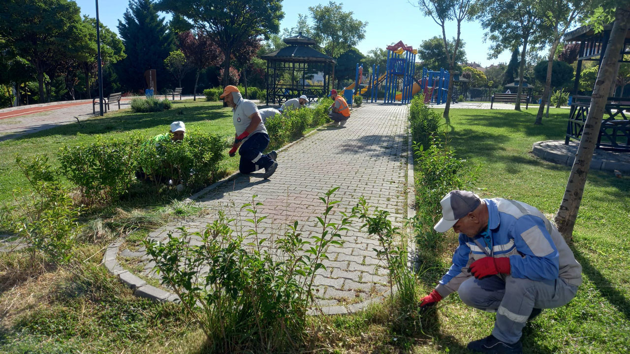 Sincan Belediyesinden yeşil alanlara özenli dokunuşlar