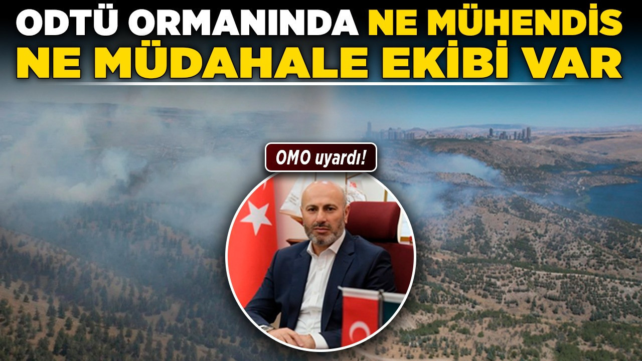 OMO uyardı! ODTÜ ormanında ne mühendis ne müdahale ekibi var