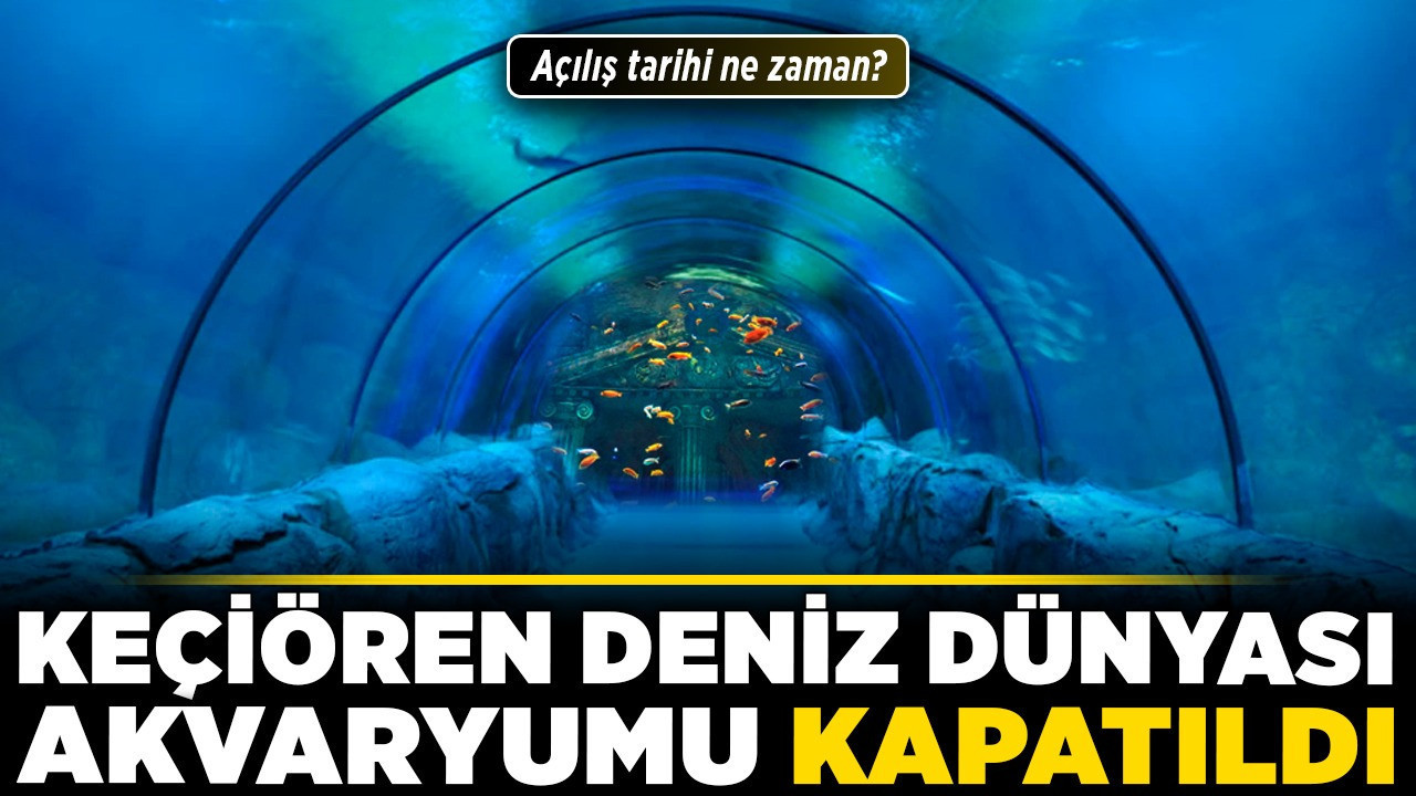 Keçiören Deniz Dünyası Akvaryumu kapatıldı! Açılış tarihi ne zaman?