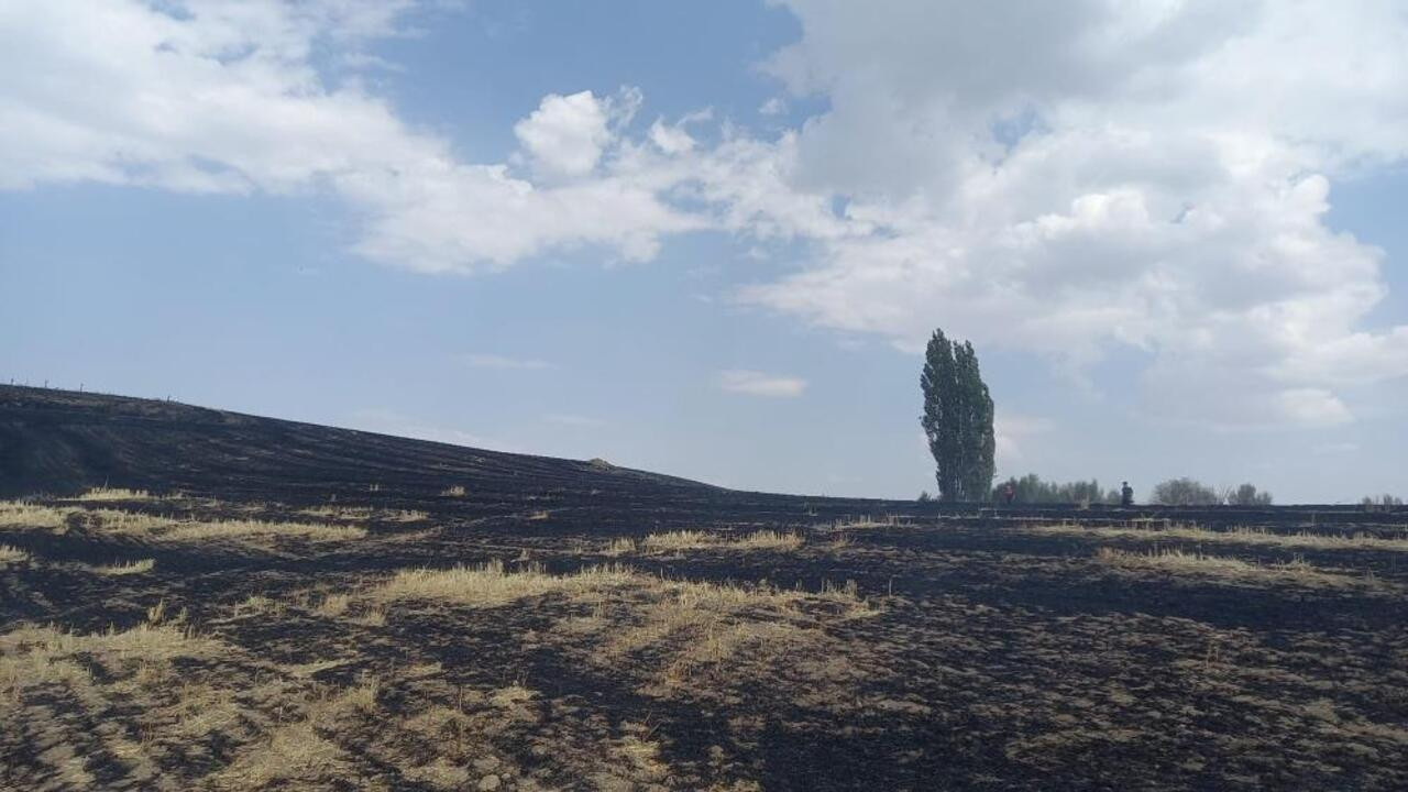 ÇEDAŞ'ın arızalanan trafosu 400 dönüm araziyi kül etti