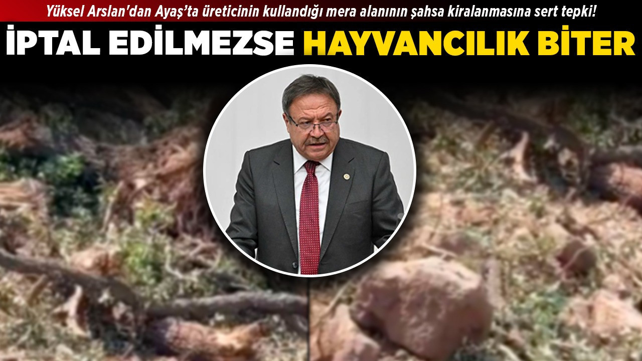 Yüksel Arslan'dan Ayaş’ta üreticinin kullandığı mera alanının şahsa kiralanmasına sert tepki! İptal edilmezse hayvancılık biter