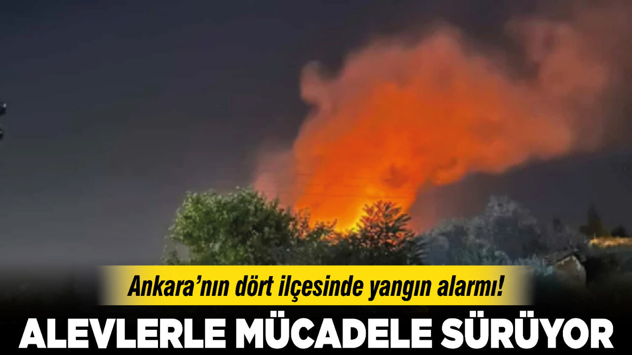 Ankara’nın dört ilçesinde yangın alarmı! Alevlerle mücadele sürüyor