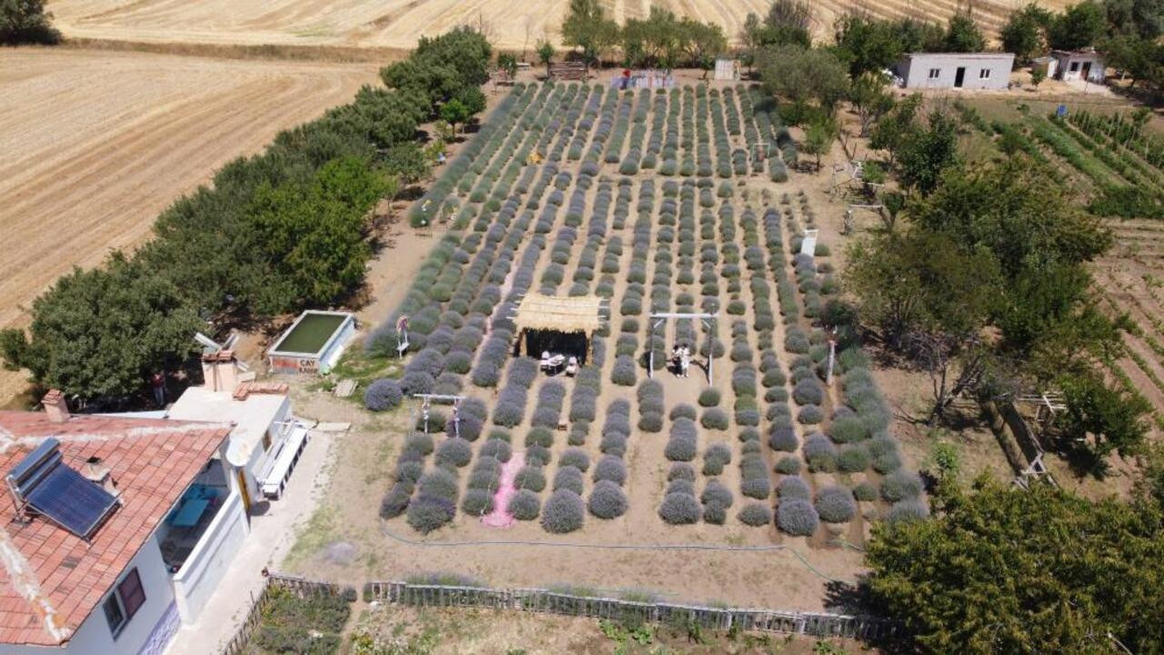 Yozgat’ta buram buram lavanta kokan başarı hikâyesi