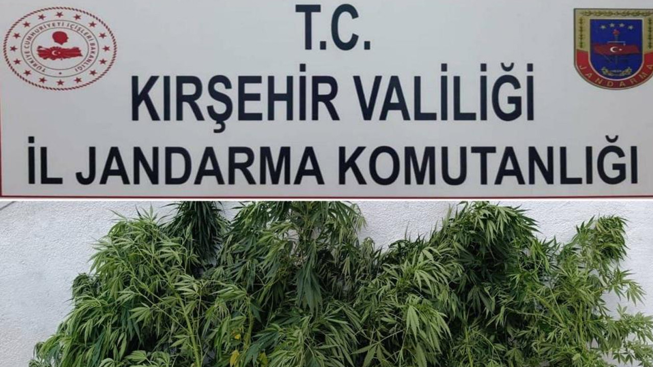 Kırşehir’de zehir tacirlerine darbe!