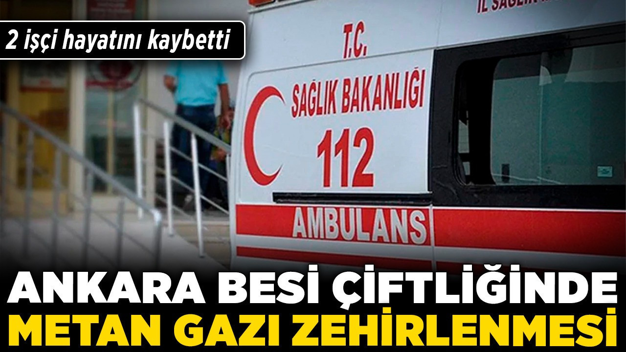 Ankara'da besi çiftliğinde metan gazı zehirlenmesi! 2 işçi hayatını kaybetti