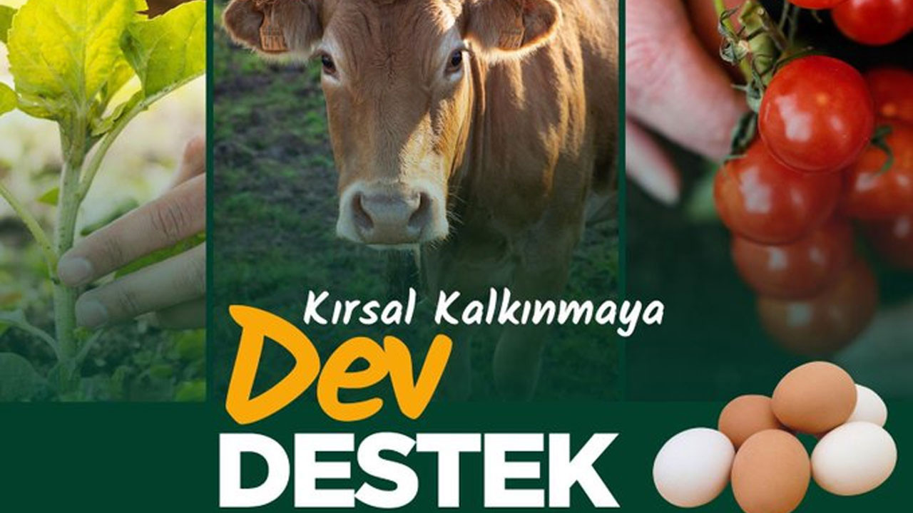 Tarım ve Orman Bakanlığından Çubuk’a dev destek! 33 projeye 524 milyon TL yatırım