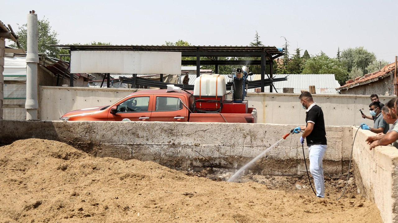Etimesgut’ta tarım ve hayvancılığa destek sürüyor!