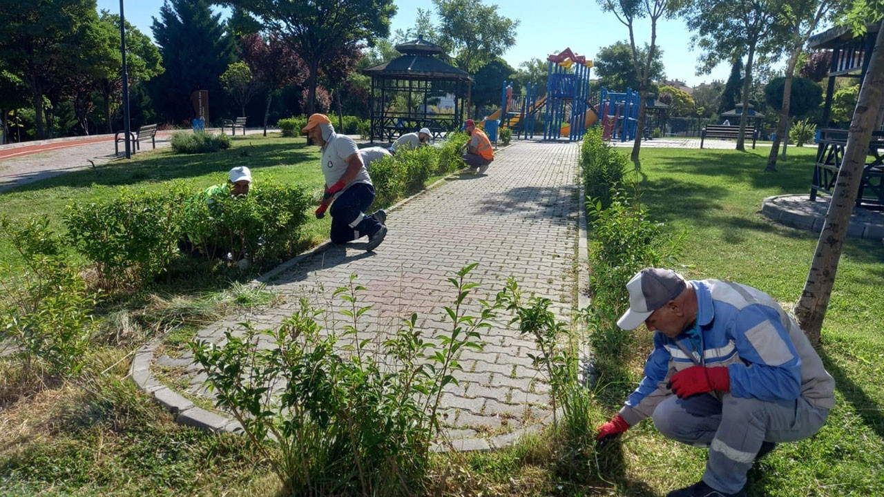 Sincan daha yeşil bir geleceğe kavuşuyor: Parklar ve yeşil alanlar yenileniyor