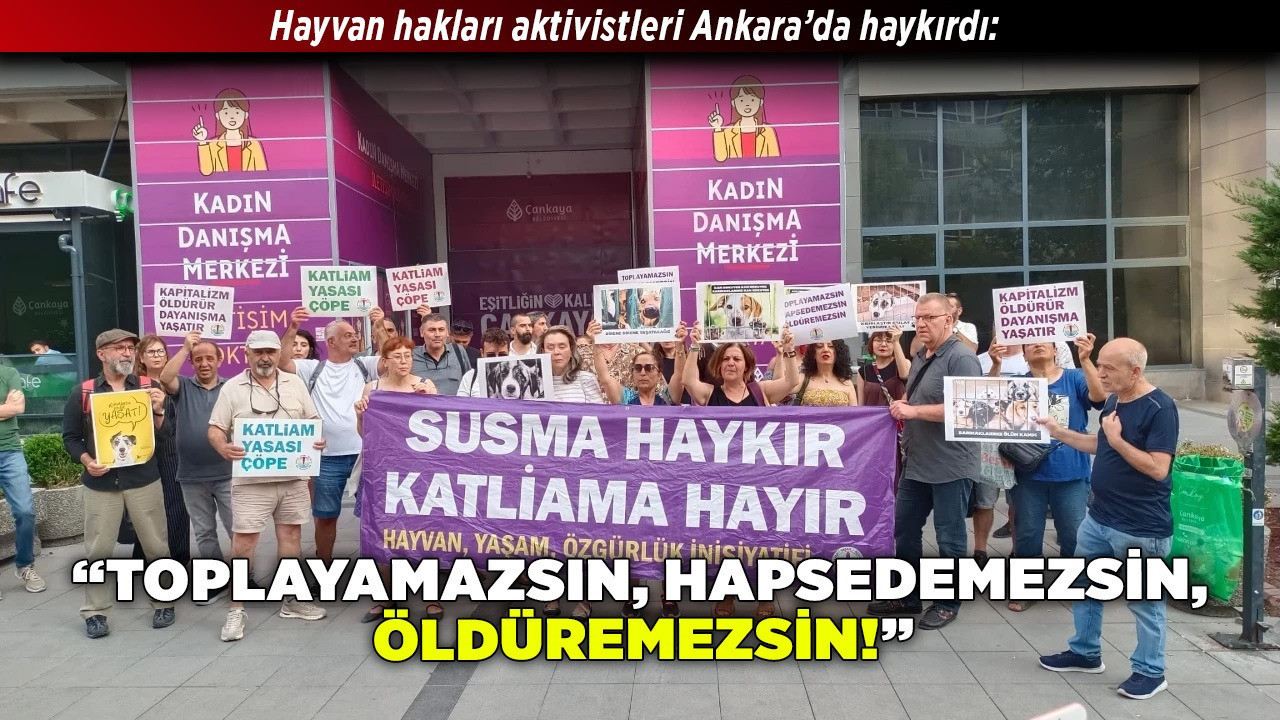 Hayvan hakları aktivistleri Ankara’da haykırdı: “Toplayamazsın, hapsedemezsin, öldüremezsin!”