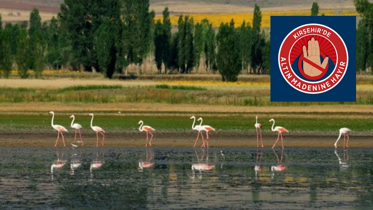 Kırşehir'de altın madeni projesine tepki! Gözler 5 Ağustos’taki toplantıya çevrildi