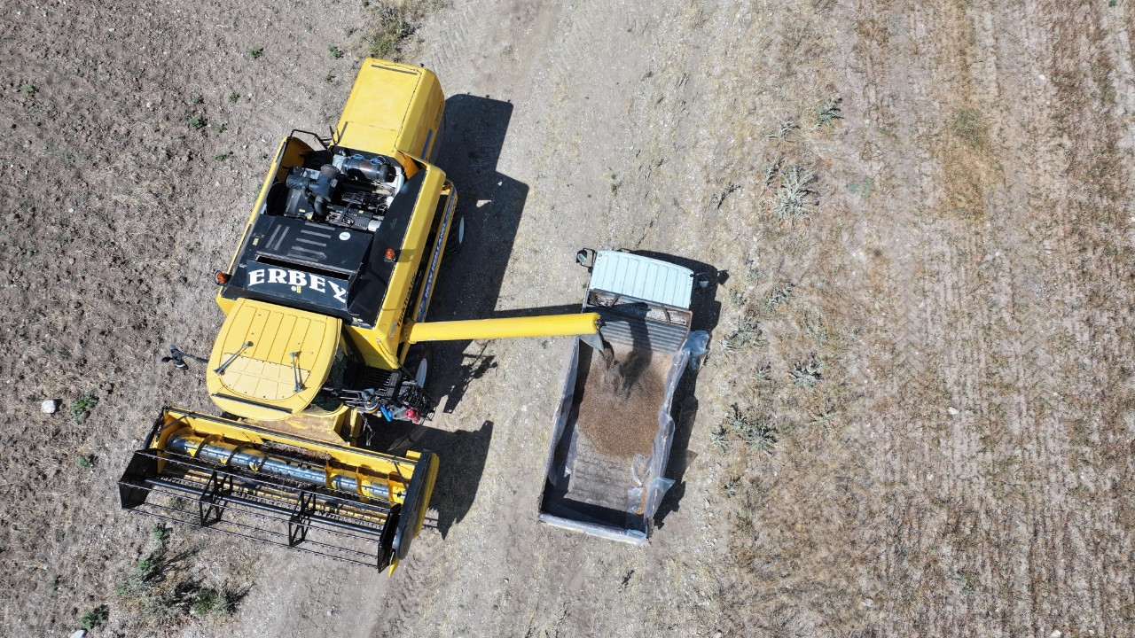 Ankara Gölbaşı’nda Başkan Odabaşı müjdeyi verdi! Karabuğdayın ilk hasadı yapıldı