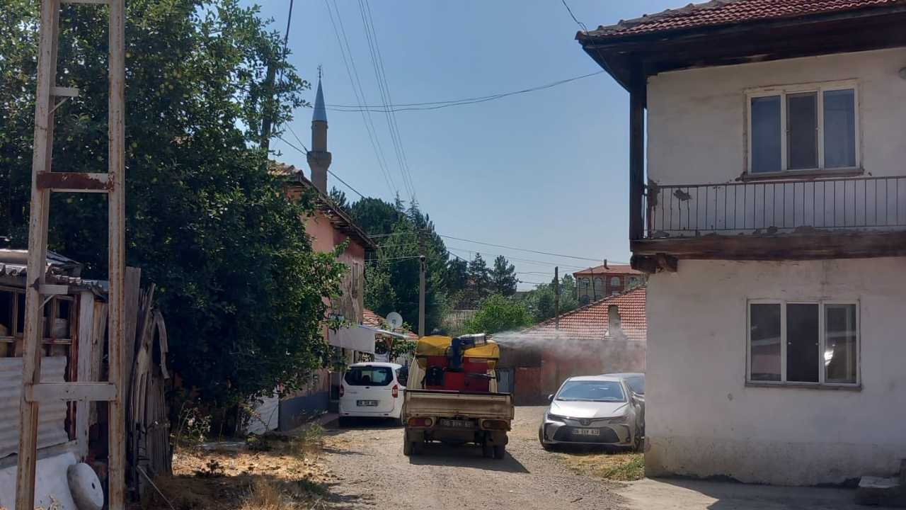 Ankara’da belediyelerden haşere ile mücadele seferberliği