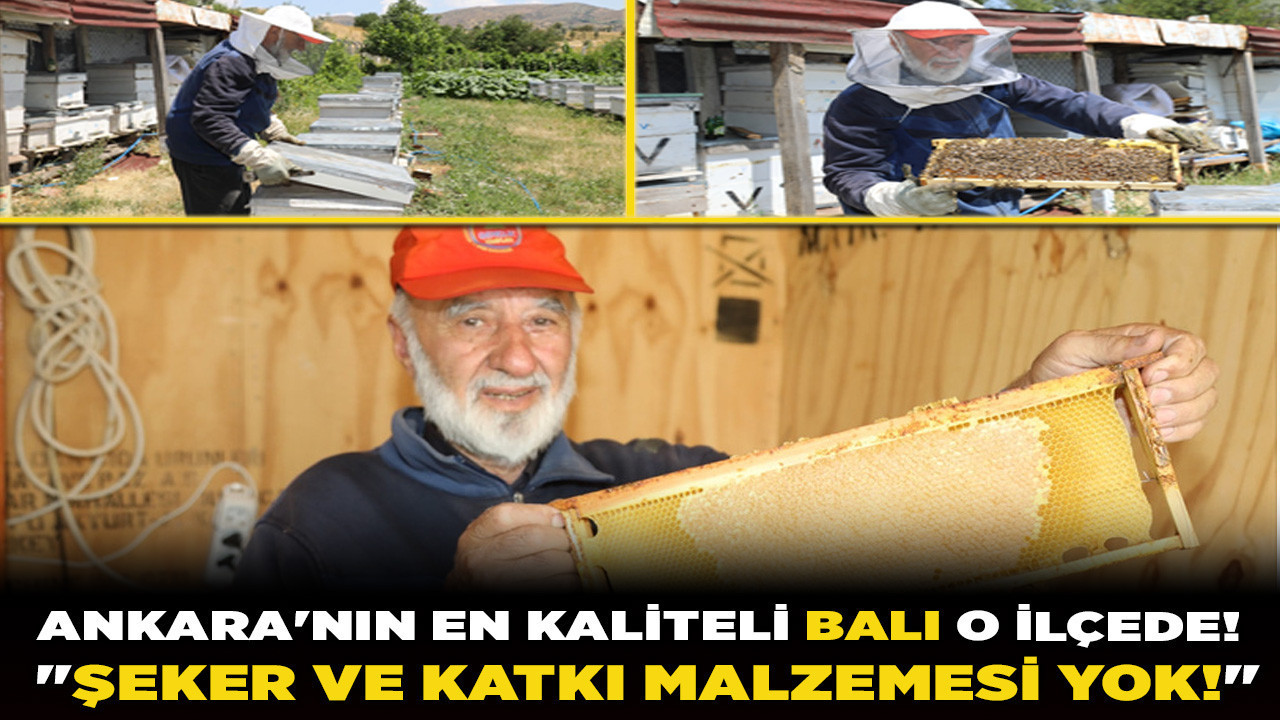 Ankara'nın en kaliteli balı o ilçede! "Şeker ve katkı malzemesi yok!"