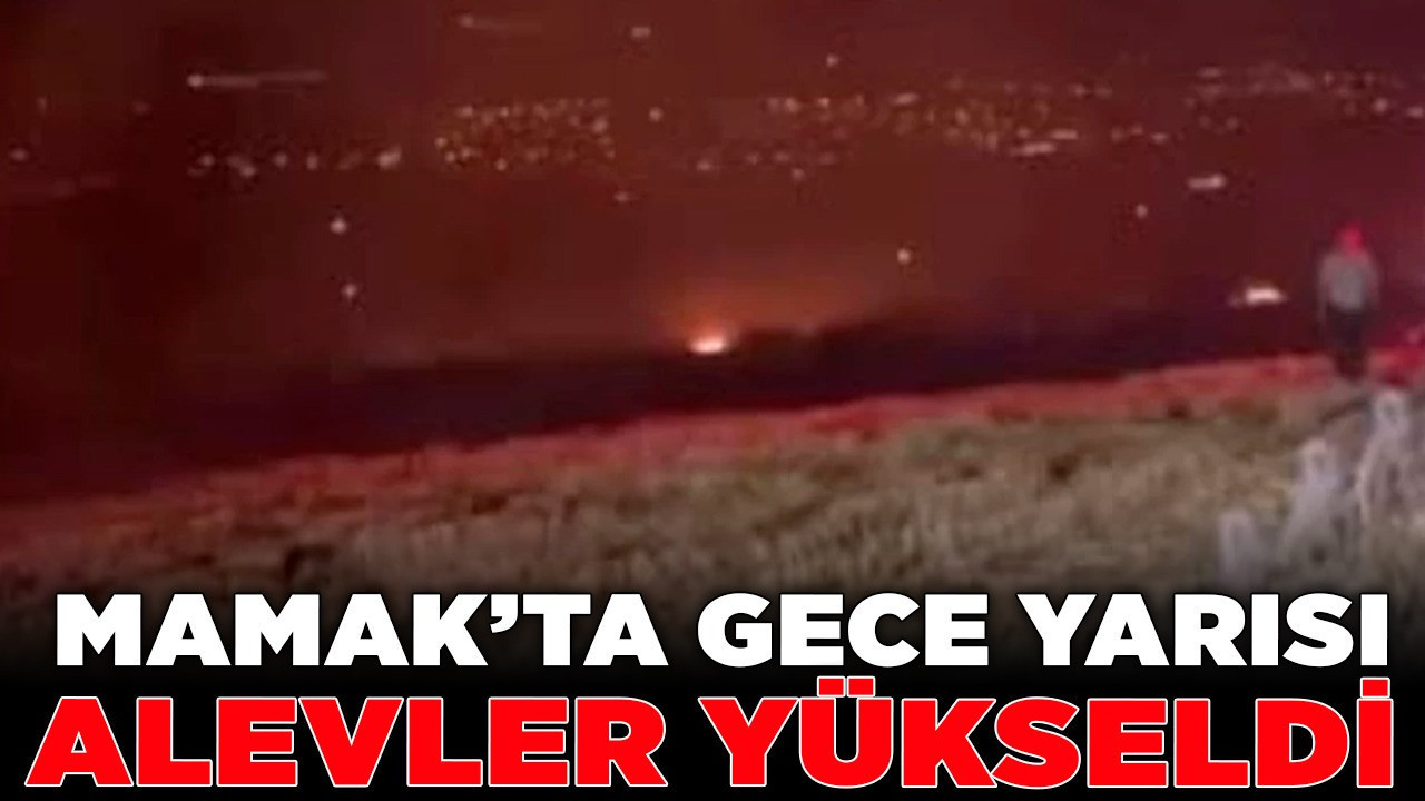 Mamak'ta gece yarısı alevler yükseldi! Müdahale sürüyor