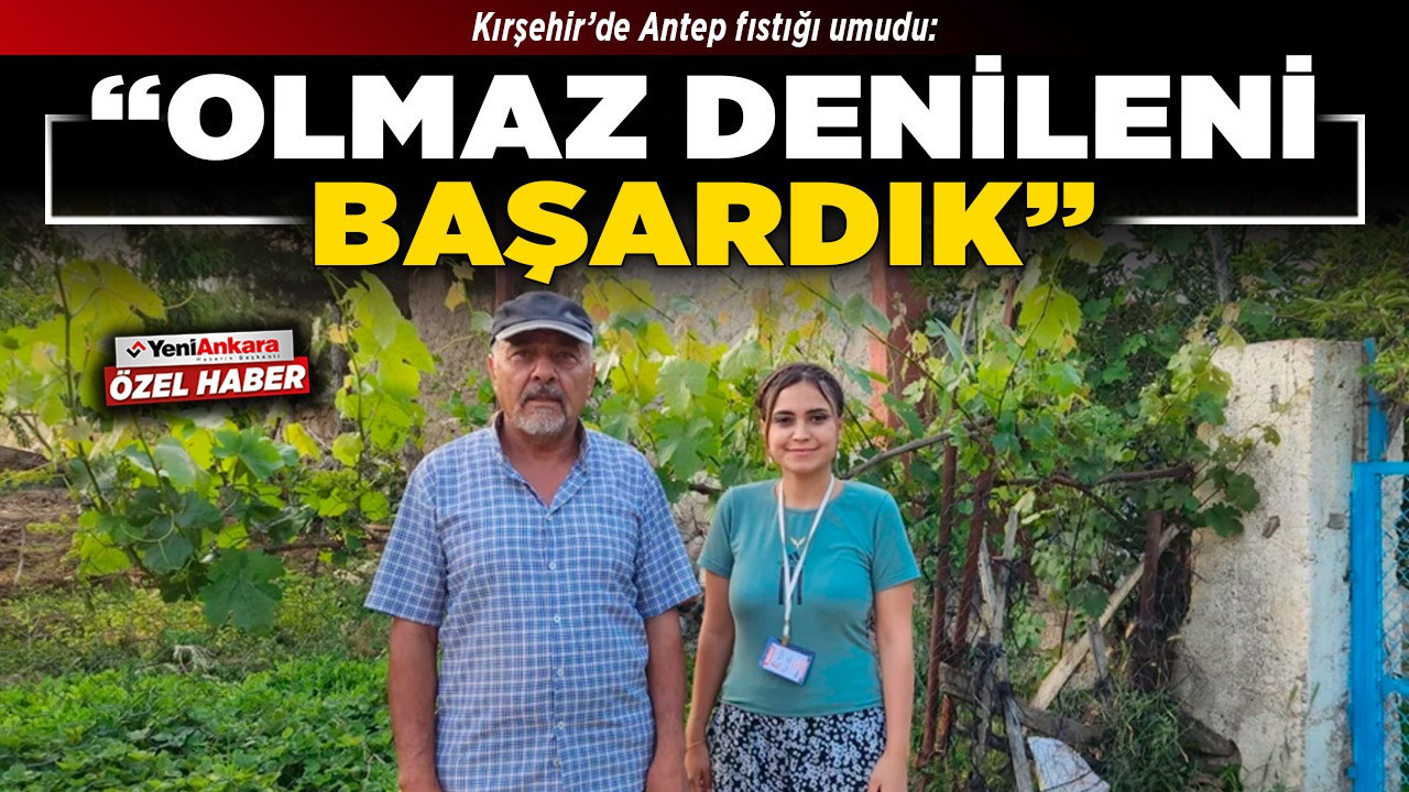 Kırşehir’de Antep fıstığı umudu: “Olmaz denileni başardık”