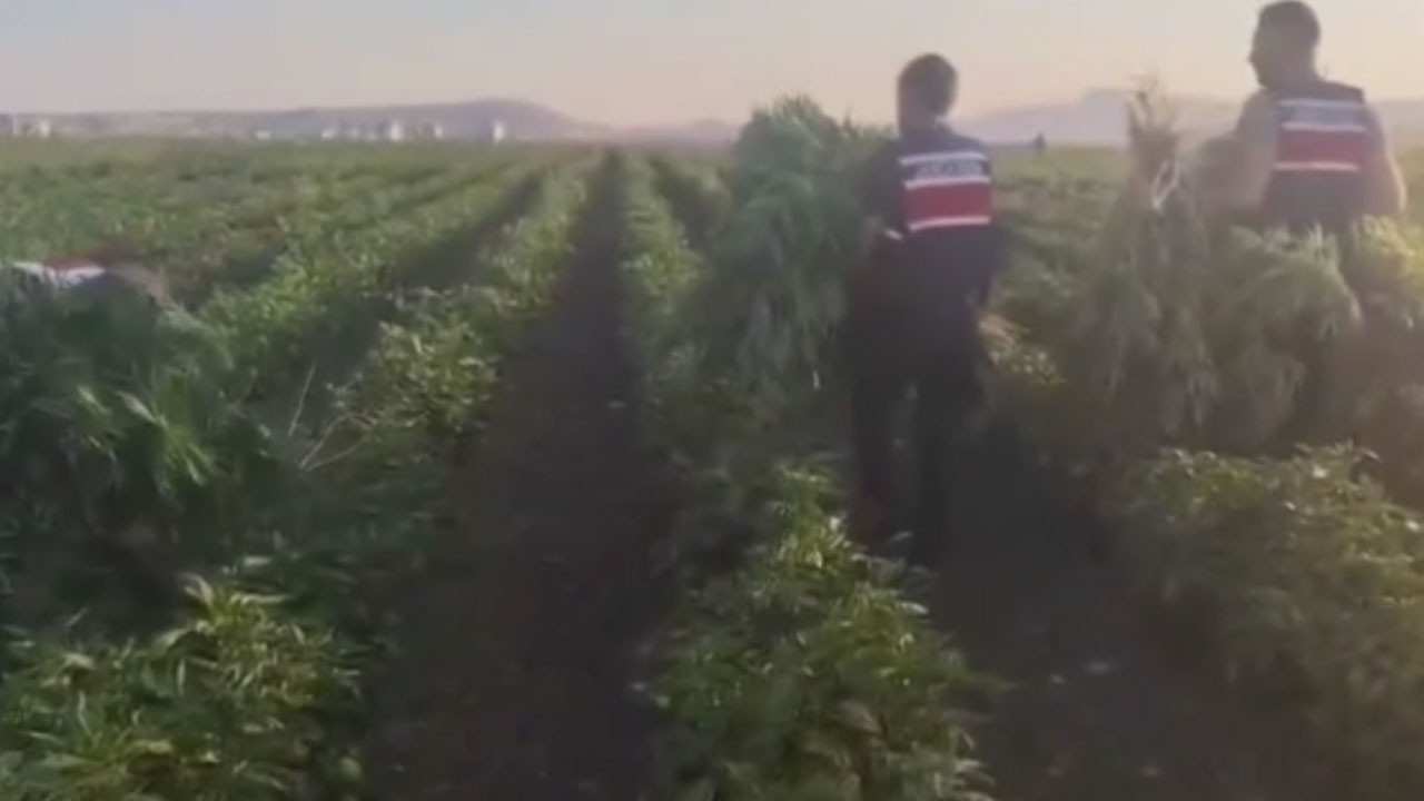 Ankara Sincan’da zehir üretimine geçit yok: 2 şüpheli gözaltında