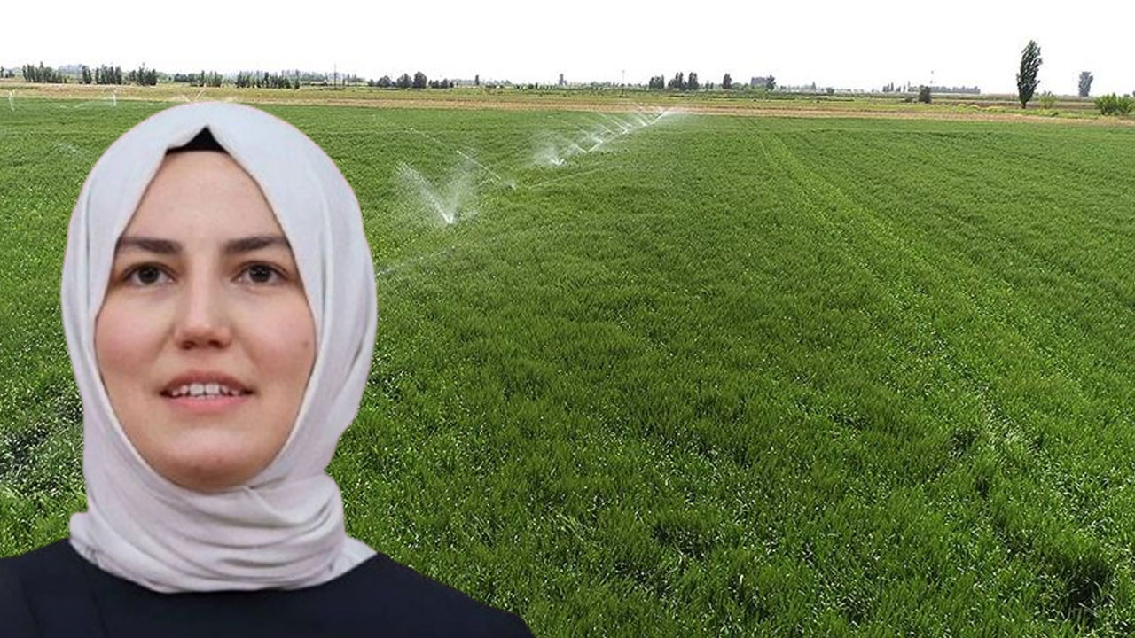 Zeynep Yıldız'dan Çubuk’ta tarım vurgusu: "Ankara tarımın da başkentidir"