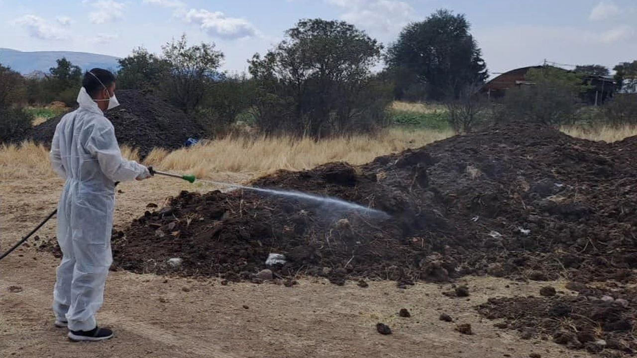 Ankara Büyükşehir Belediyesinden haşere ile mücadele mesaisi! İlk adres Polatlı