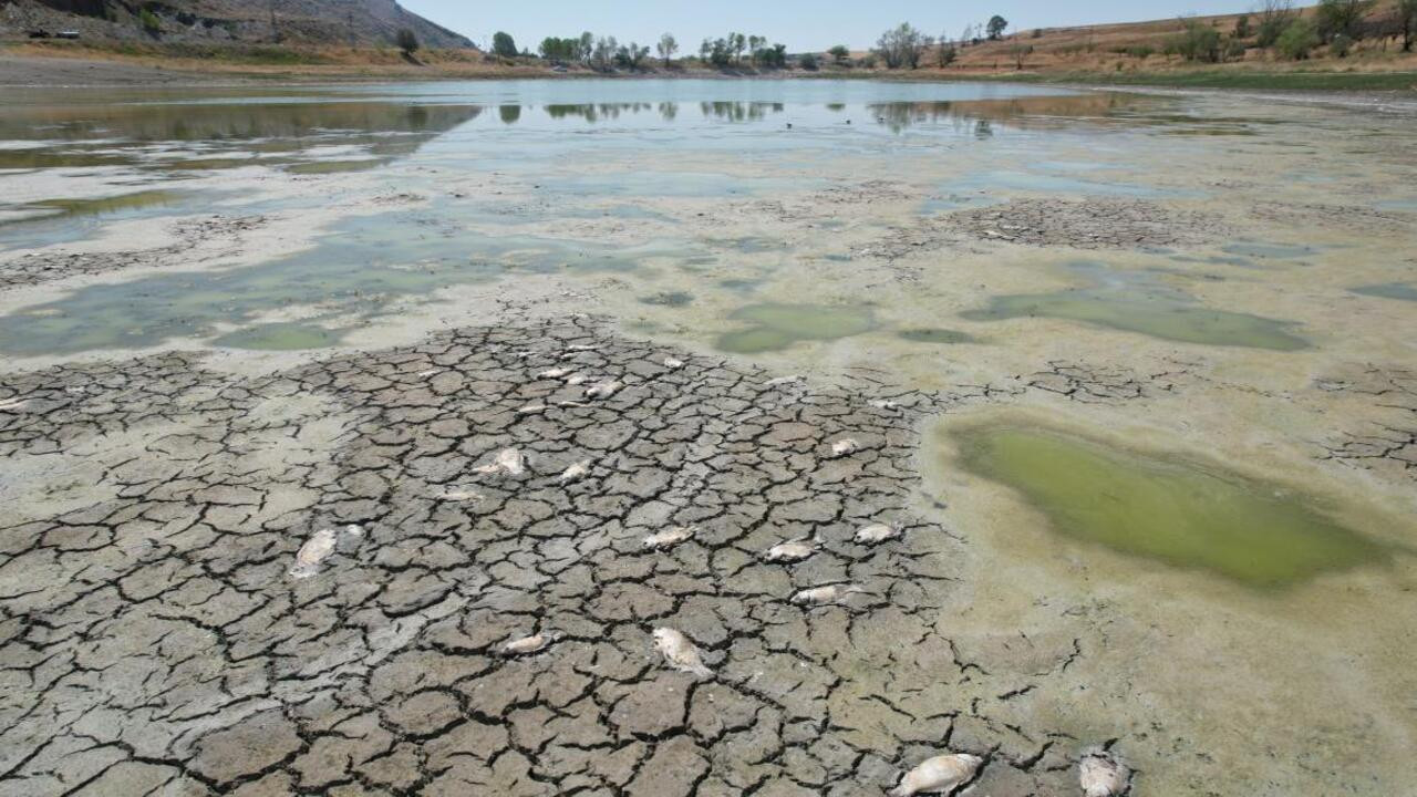 Çubuk’ta çanlar Kızılca Göleti için çalıyor