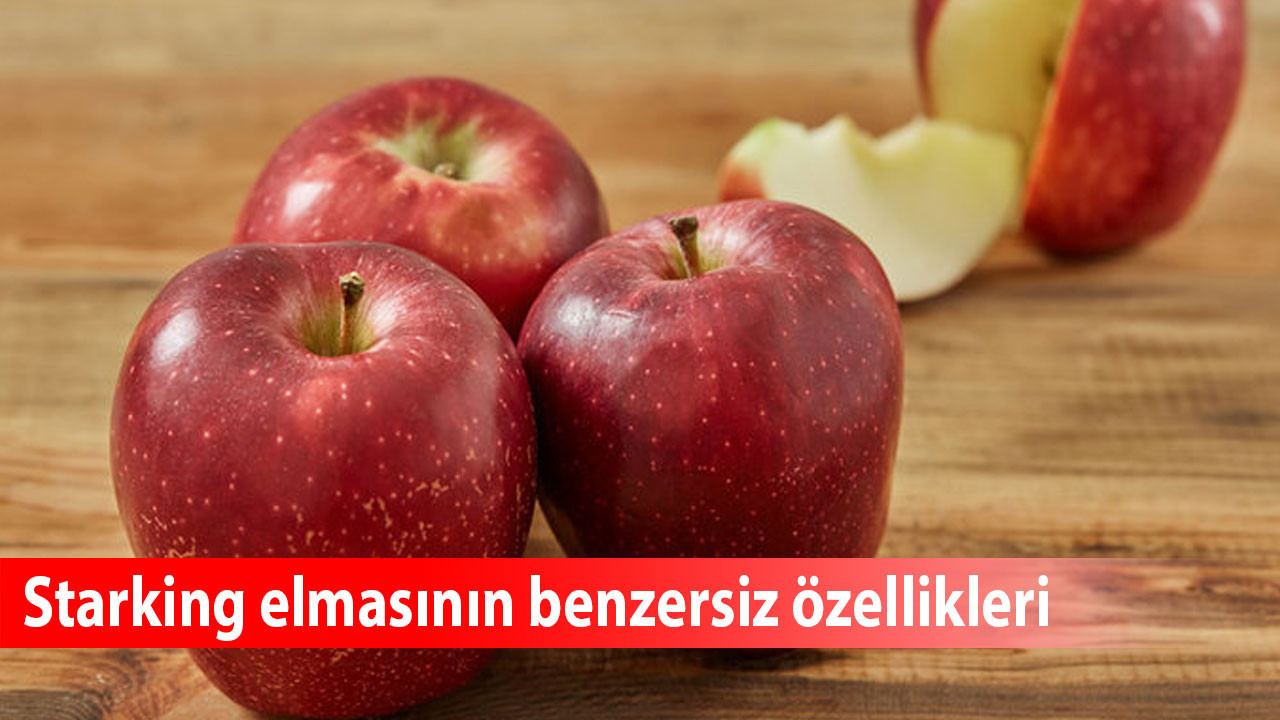 Starking elmasının benzersiz özellikleri: Lezzet, beslenme ve yetiştiricilik