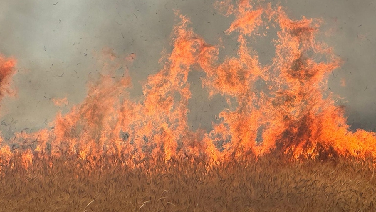 Ankara’da peş peşe korkutan yangınlar! Alevler rüzgarın etkisiyle büyüyor