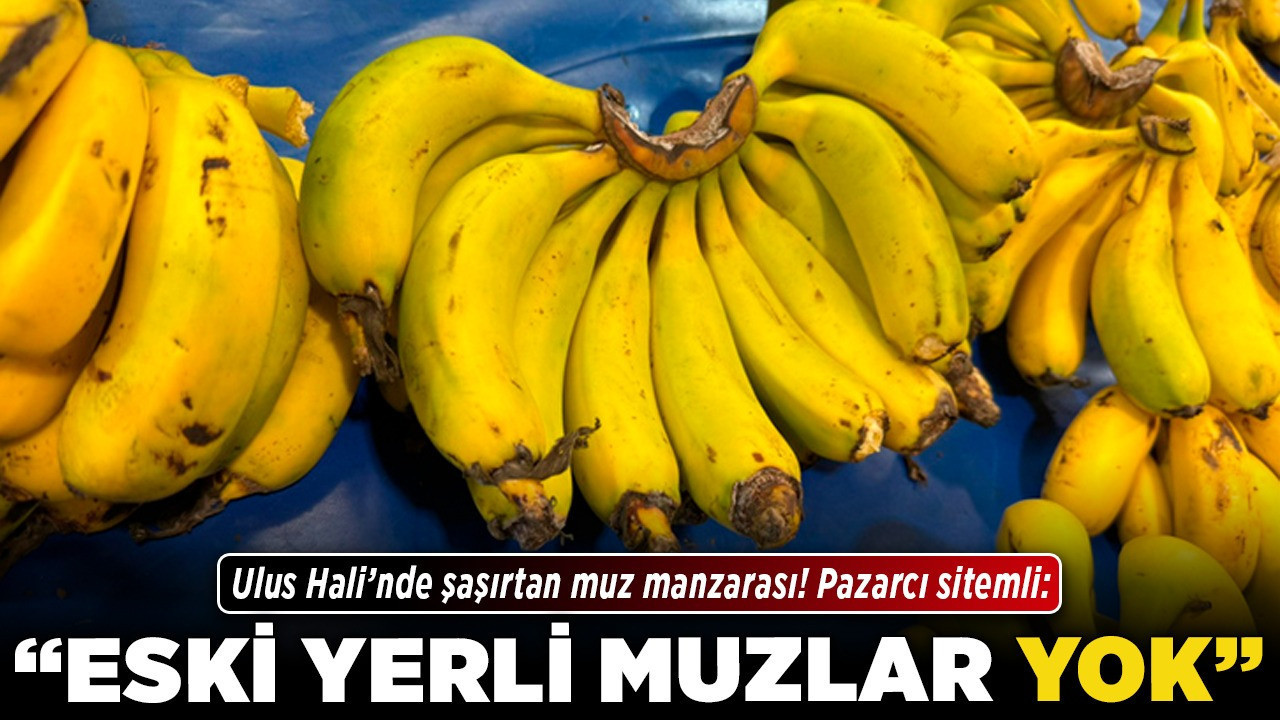 Ulus Hali’nde şaşırtan muz manzarası! Pazarcı sitemli: "Eski yerli muzlar yok!"