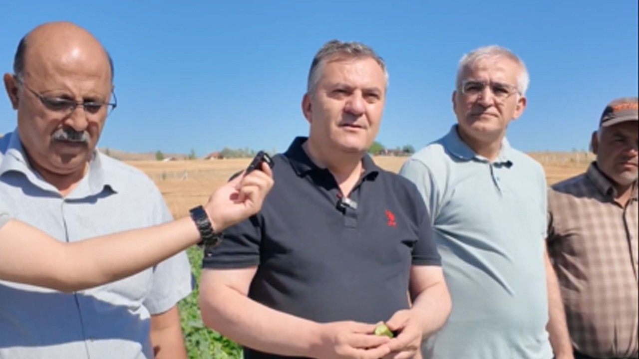 Çubuk Belediye Başkanı Demirbaş ve Kaymakam Bakır'dan tarlada çiftçi ziyareti!