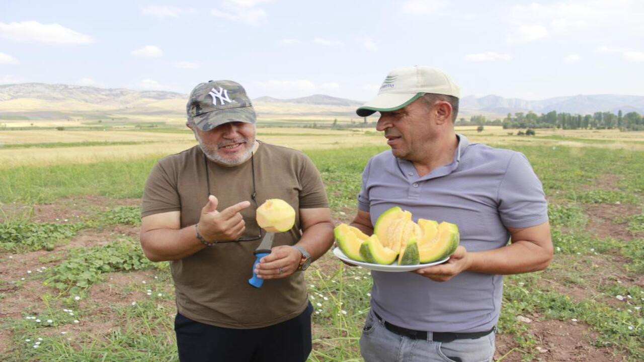 Yozgat’ı bağrıbütün hasadı heyecanı sardı