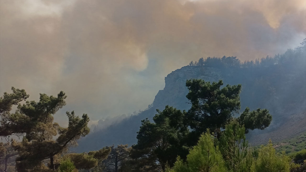 Mersin'de orman yangını: Üç mahalle tahliye ediliyor